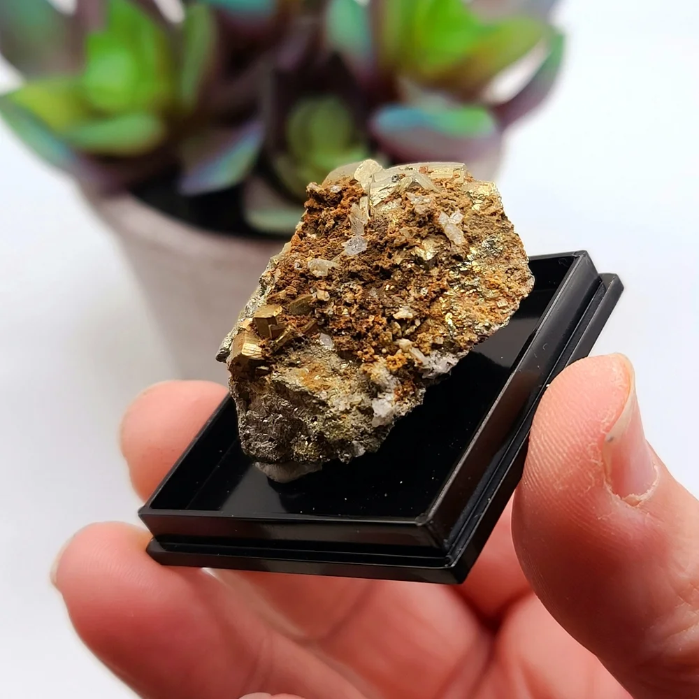 USA Pyrite Crystal Mineral Specimen from Tennessee - Old Stock